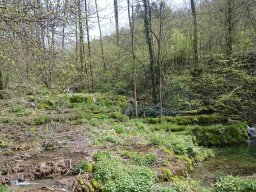 Wandern 2016